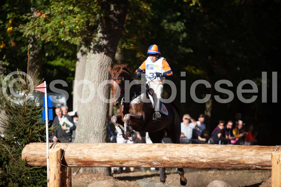 Prüfung crosscountry — IMG_2703