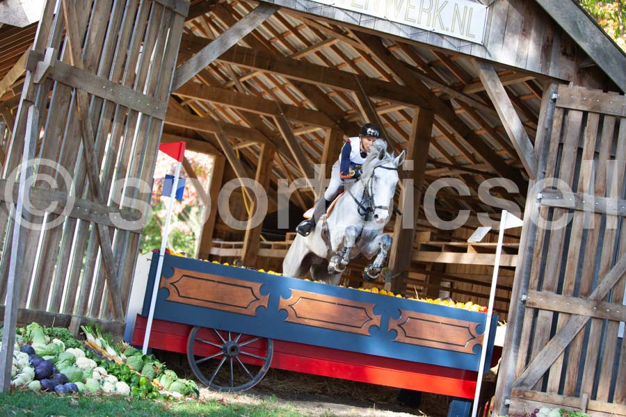 Prüfung crosscountry — IMG_2756
