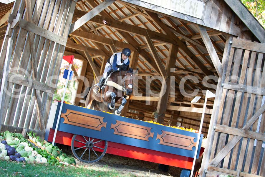 Prüfung crosscountry — IMG_2758