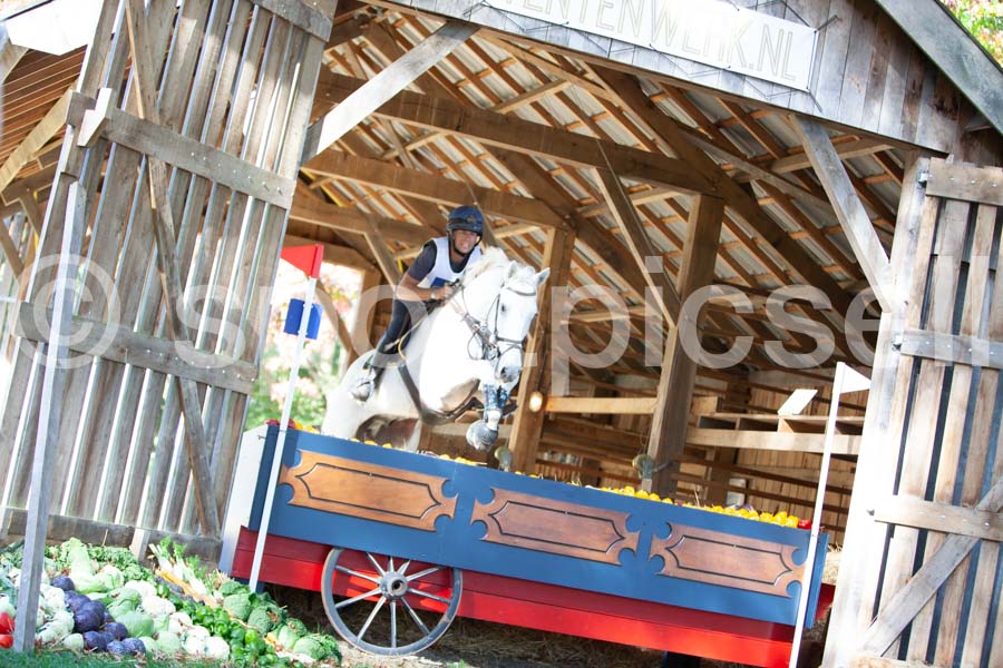 Prüfung crosscountry — IMG_2760