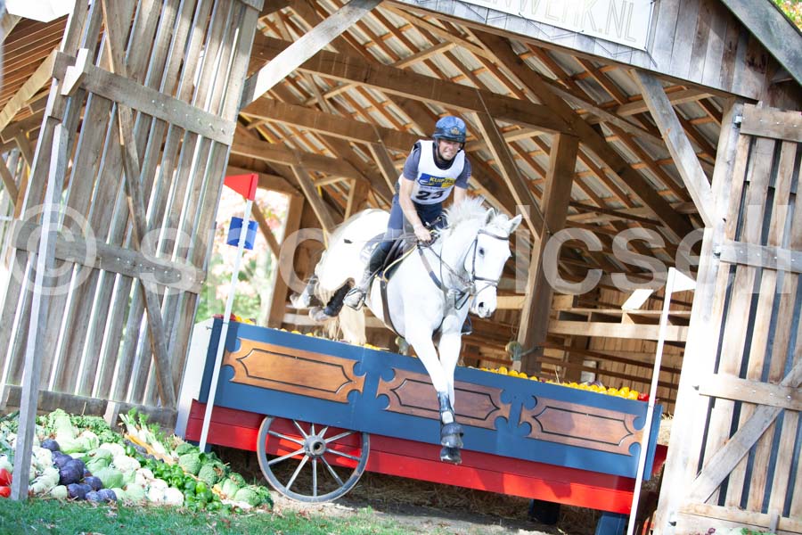 Prüfung crosscountry — IMG_2761