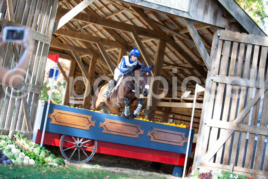 Prüfung crosscountry — IMG_2762