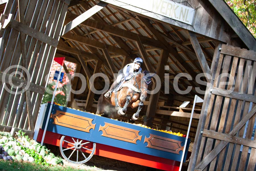 Prüfung crosscountry — IMG_2768