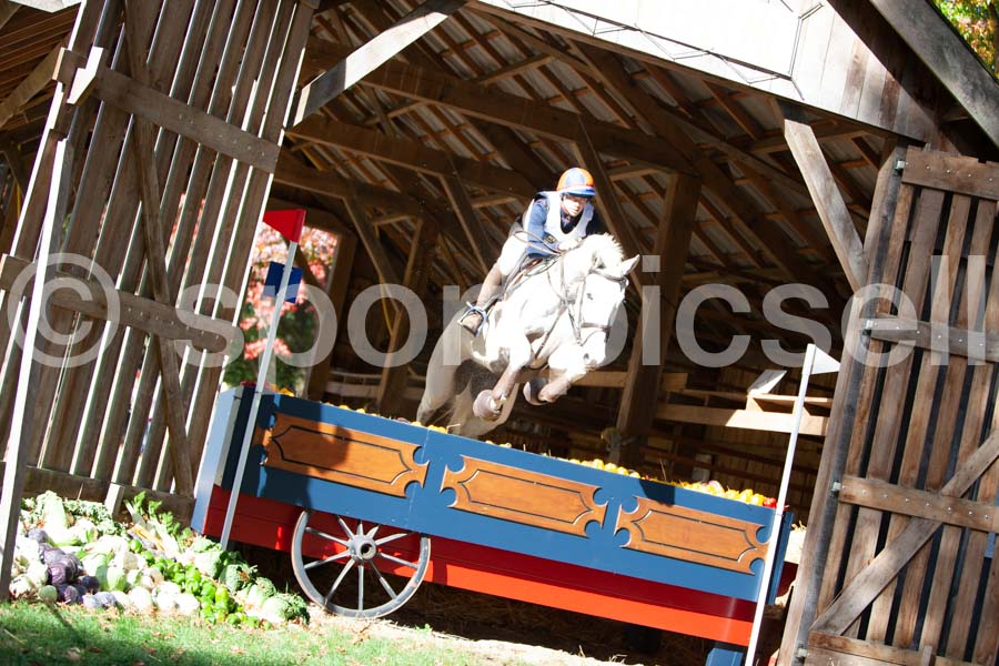 Prüfung crosscountry — IMG_2774