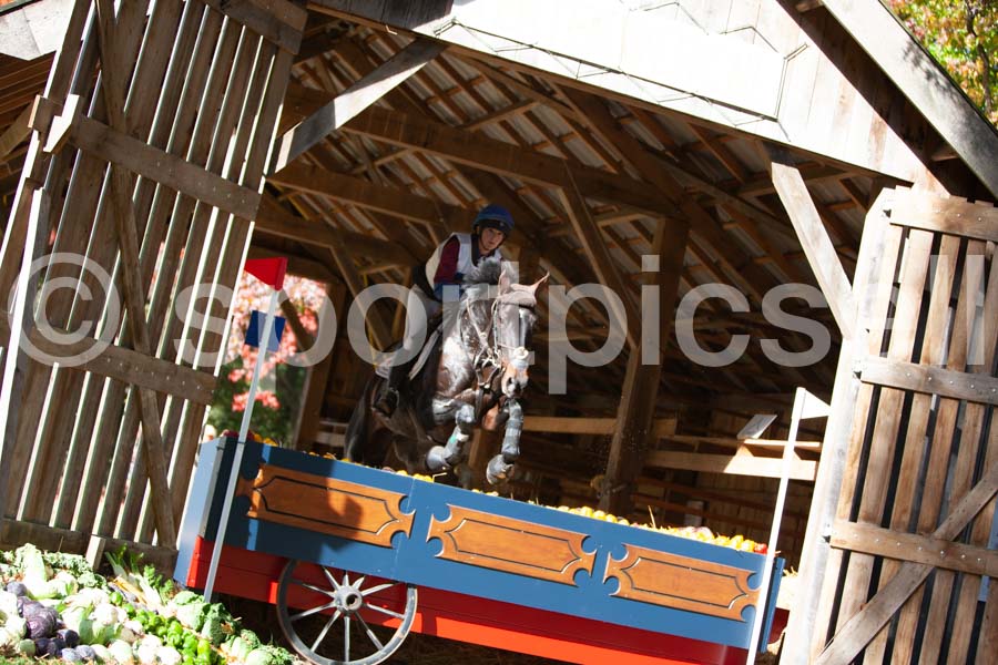 Prüfung crosscountry — IMG_2777