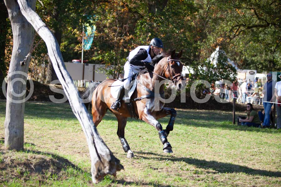 Prüfung crosscountry — IMG_2825