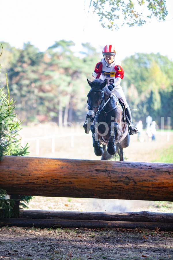 Prüfung crosscountry — IMG_2828