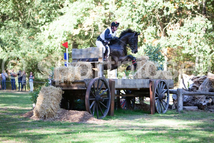 Prüfung crosscountry — IMG_2860