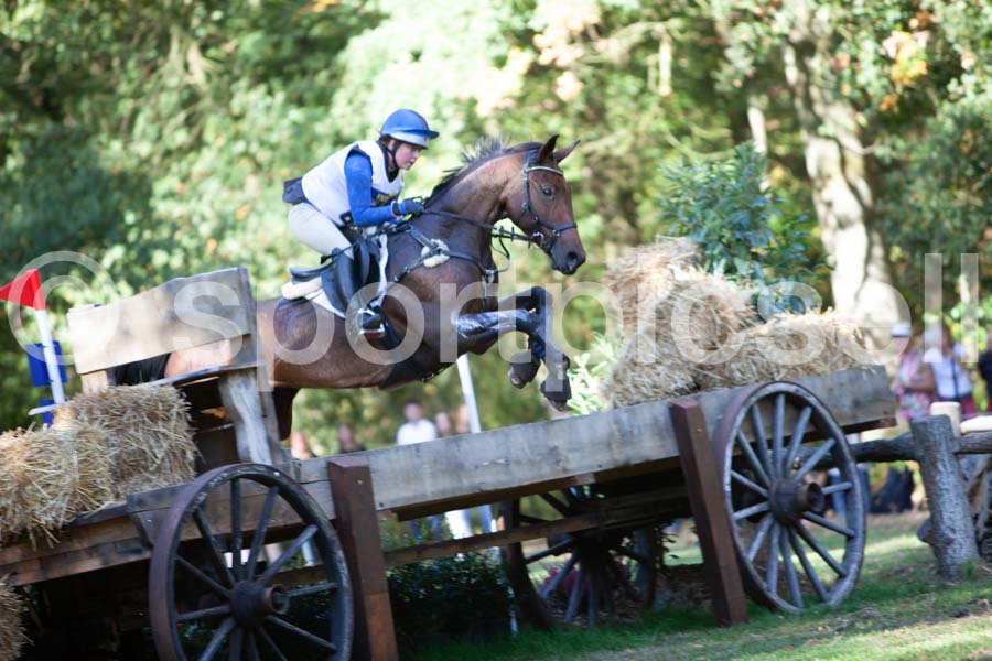 Prüfung crosscountry — IMG_2865