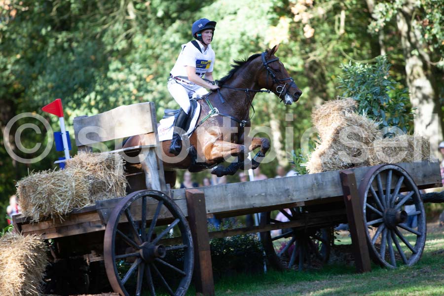 Prüfung crosscountry — IMG_2867