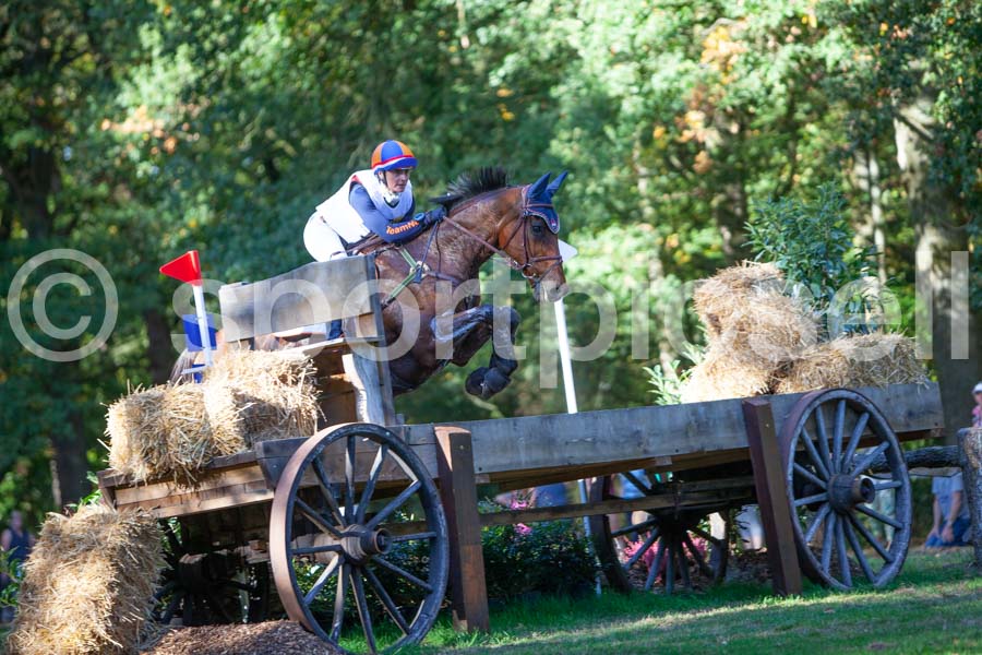 Prüfung crosscountry — IMG_2879