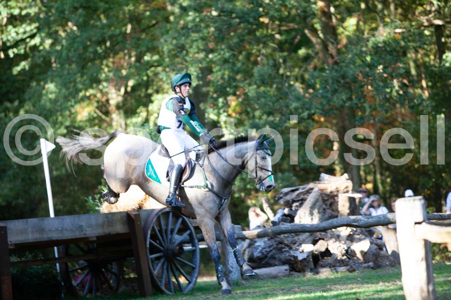 Prüfung crosscountry — IMG_2893