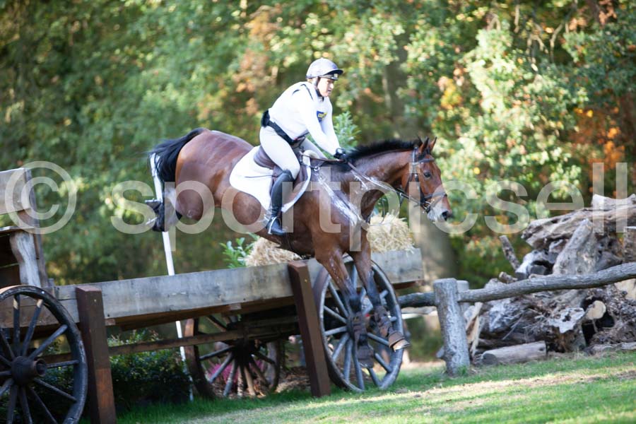 Prüfung crosscountry — IMG_2901