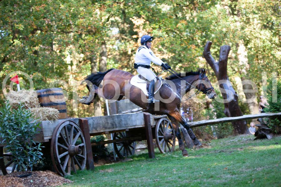 Prüfung crosscountry — IMG_2903