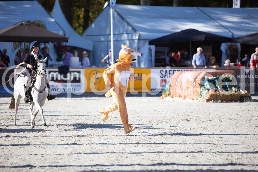 Prüfung show — IMG_3256