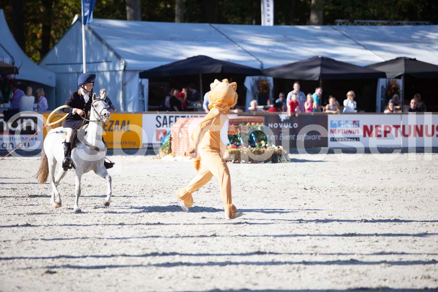 Prüfung show — IMG_3257