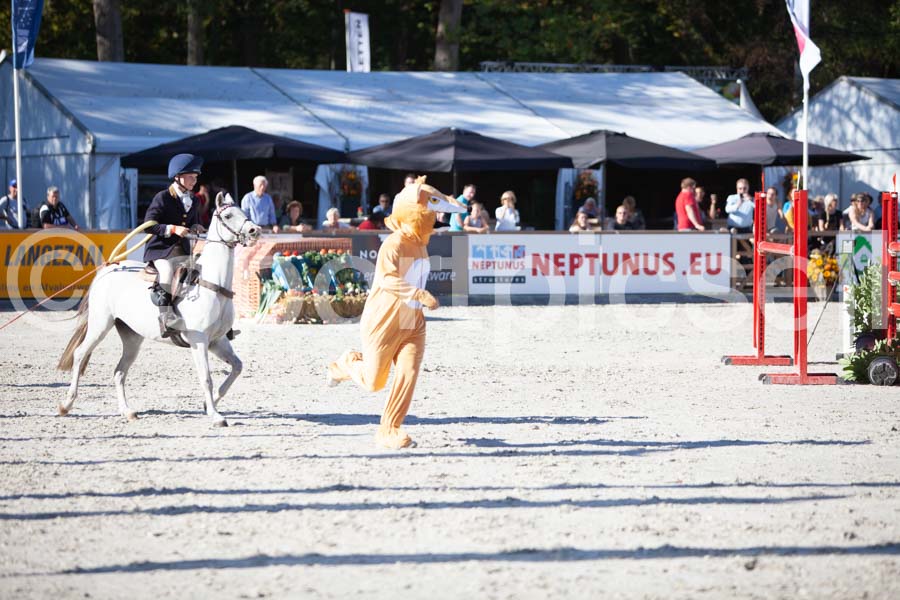 Prüfung show — IMG_3258