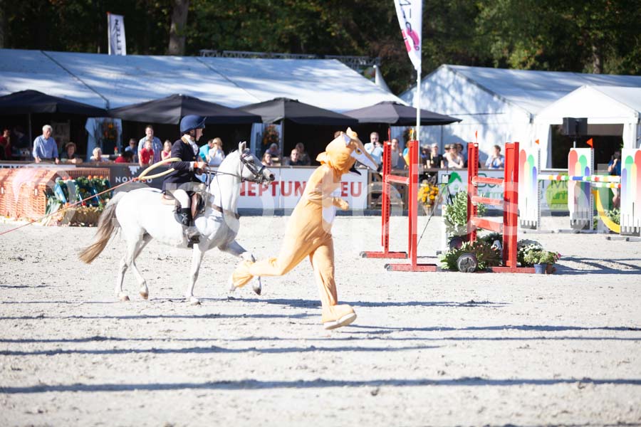 Prüfung show — IMG_3259