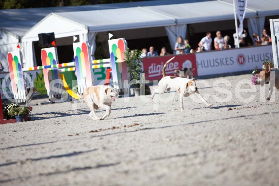 Prüfung show — IMG_3265