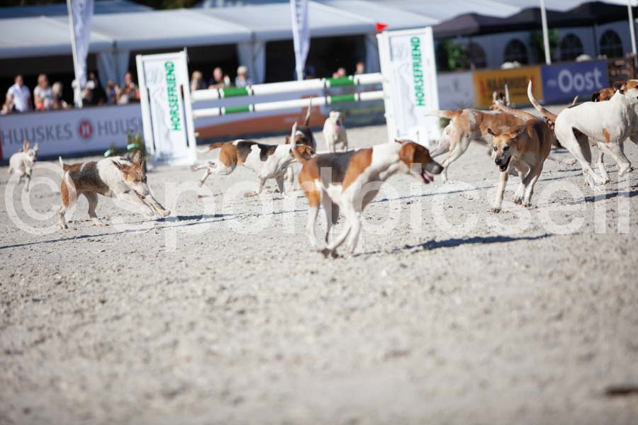 Prüfung show — IMG_3267