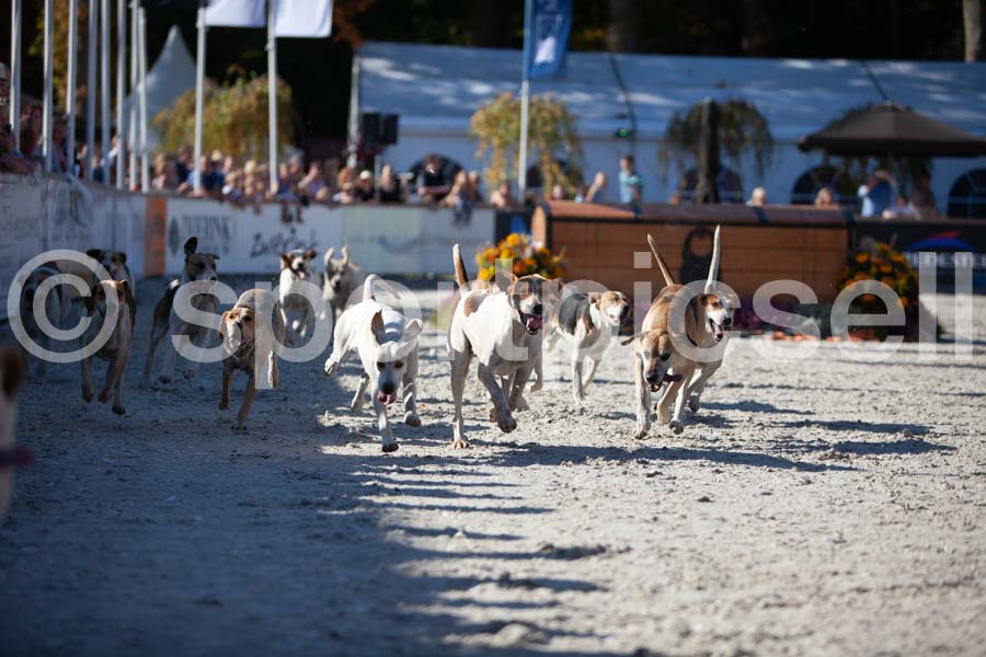 Prüfung show — IMG_3280