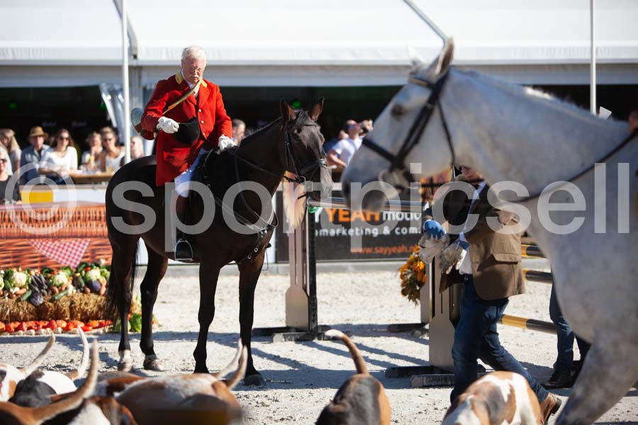 Prüfung show — IMG_3320