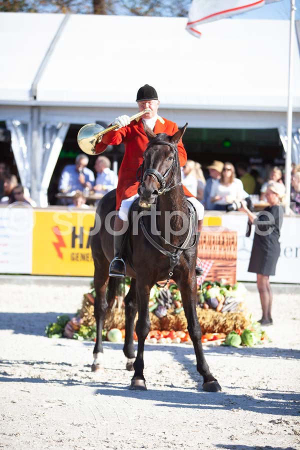Prüfung show — IMG_3325