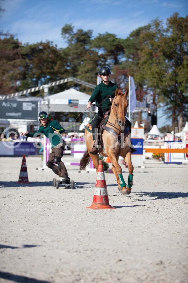 Prüfung show — IMG_3387