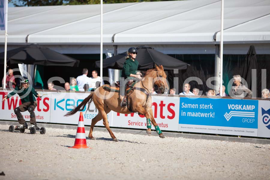Prüfung show — IMG_3402