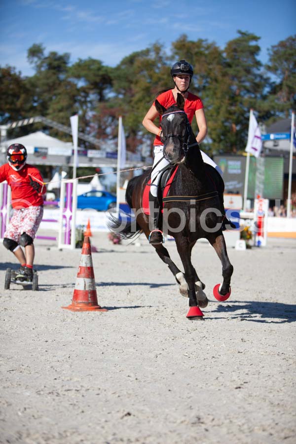 Prüfung show — IMG_3425
