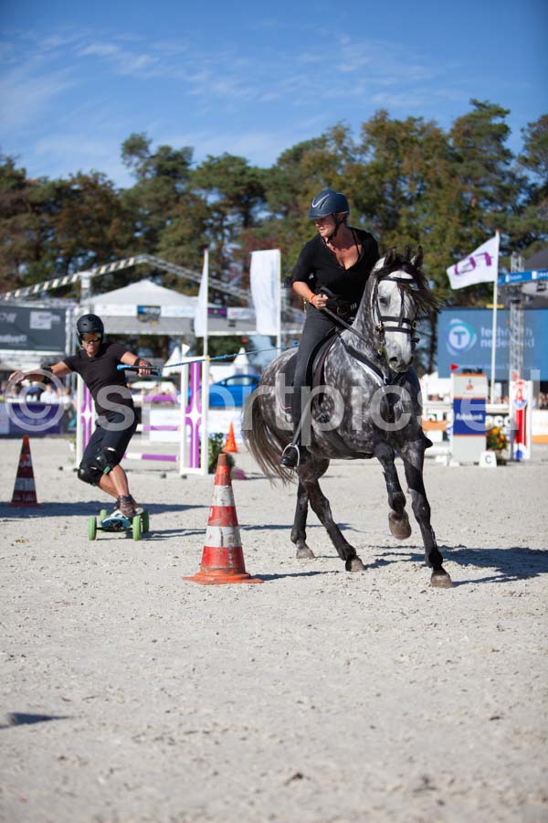 Prüfung show — IMG_3449