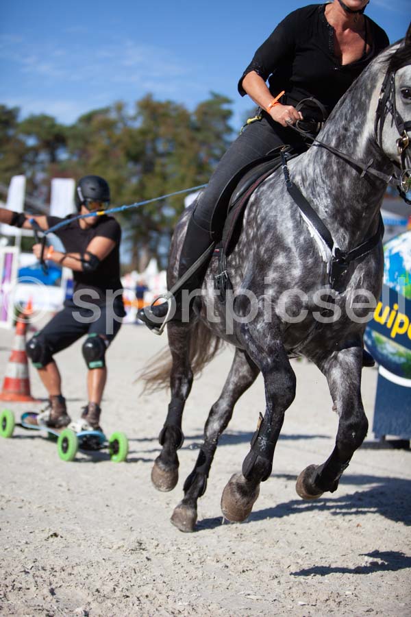 Prüfung show — IMG_3453