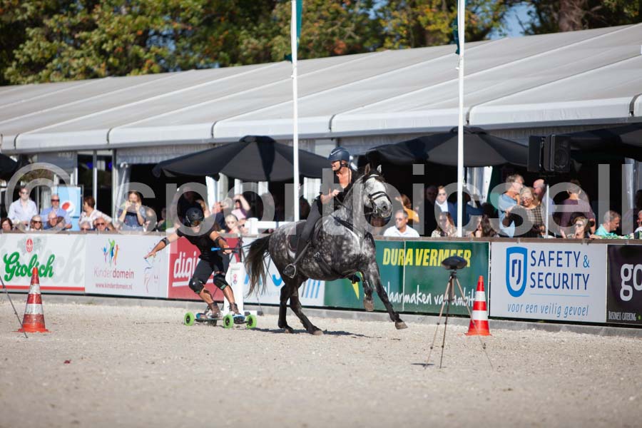 Prüfung show — IMG_3454