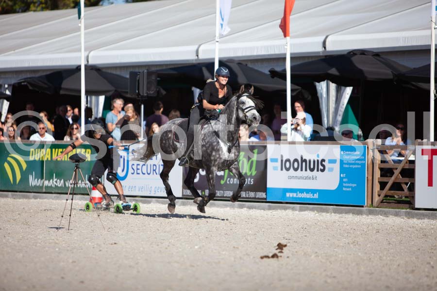Prüfung show — IMG_3457