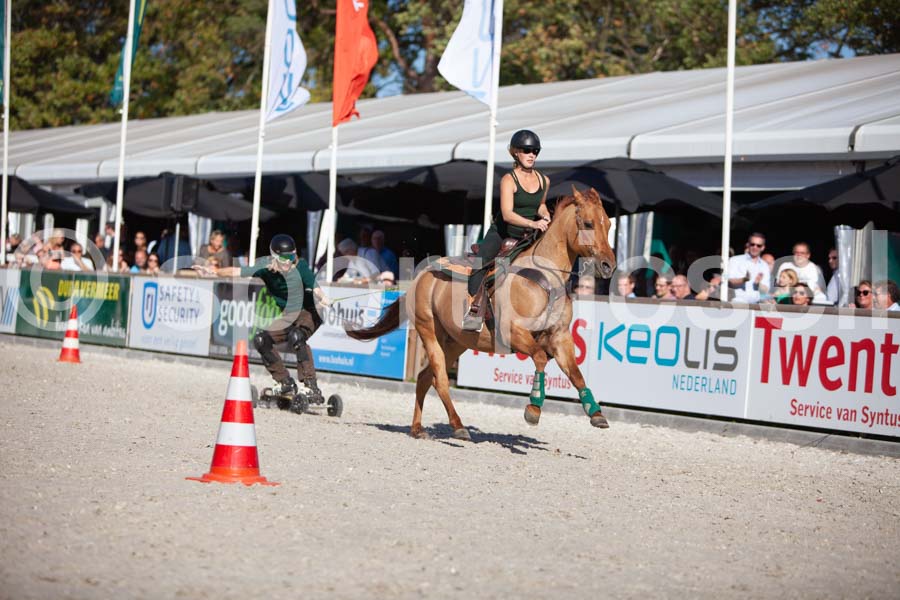 Prüfung show — IMG_3586
