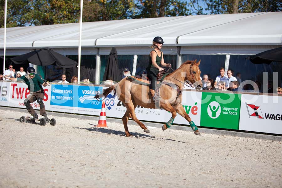 Prüfung show — IMG_3589