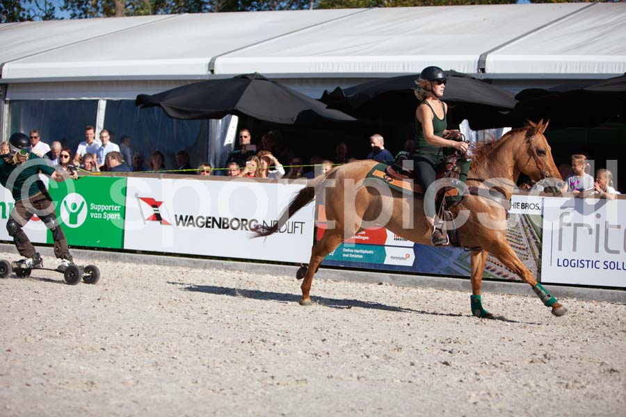 Prüfung show — IMG_3591