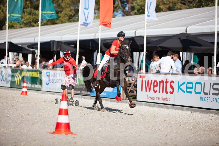 Prüfung show — IMG_3623