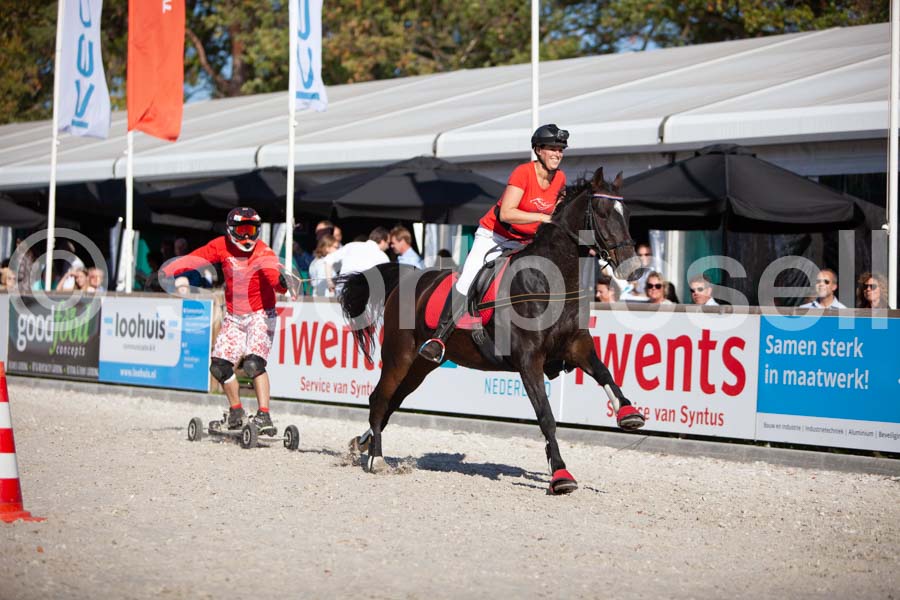 Prüfung show — IMG_3625