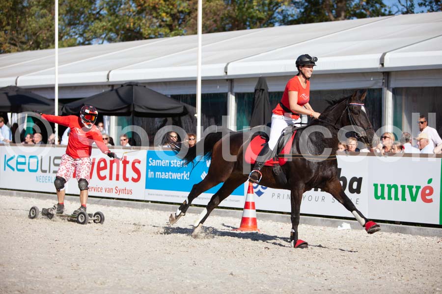 Prüfung show — IMG_3627