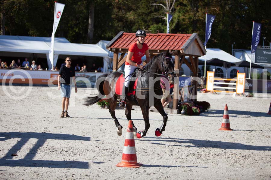 Prüfung show — IMG_3633
