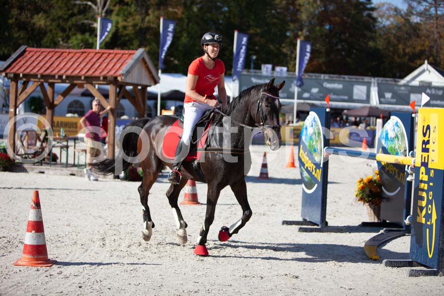 Prüfung show — IMG_3635