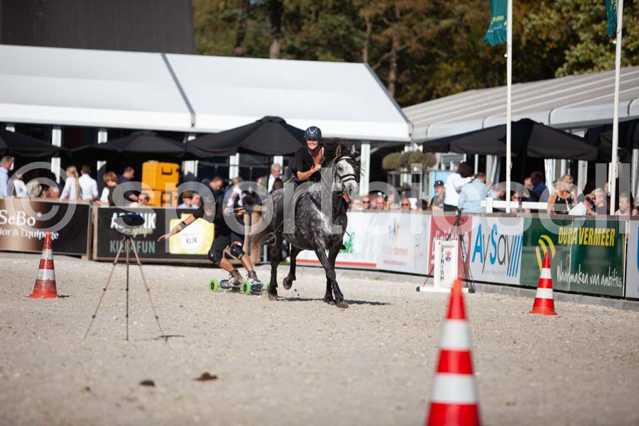 Prüfung show — IMG_3663