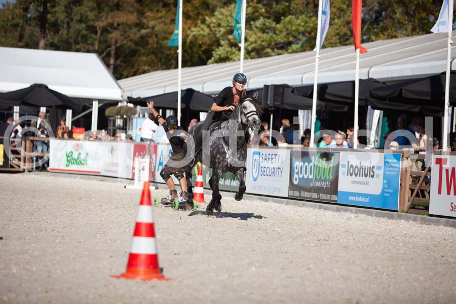 Prüfung show — IMG_3667