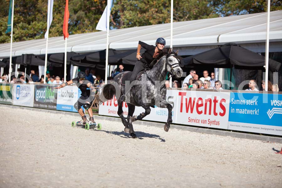 Prüfung show — IMG_3671