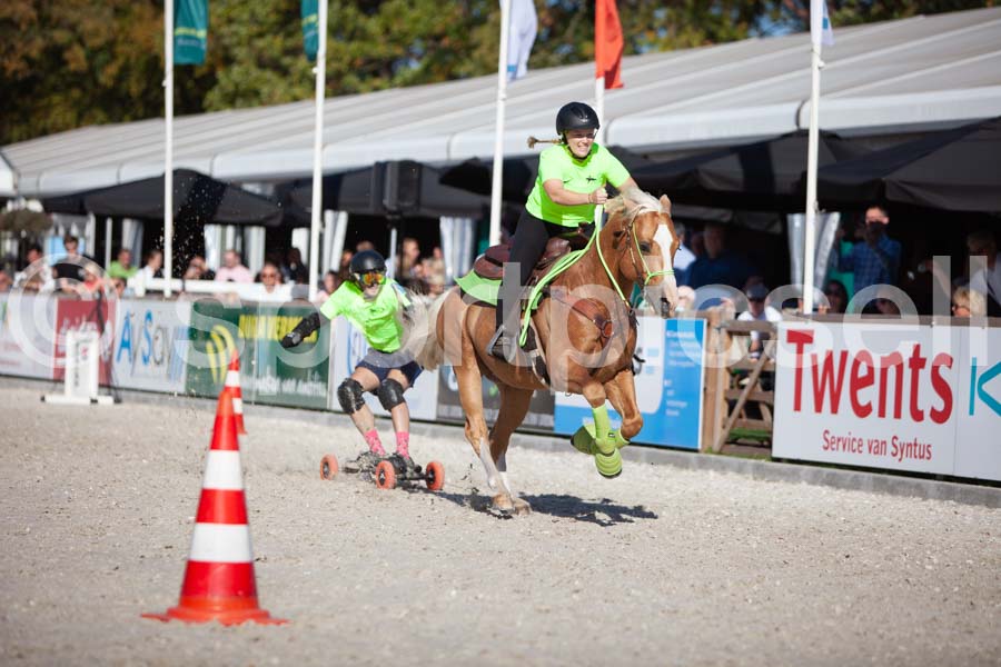 Prüfung show — IMG_3697