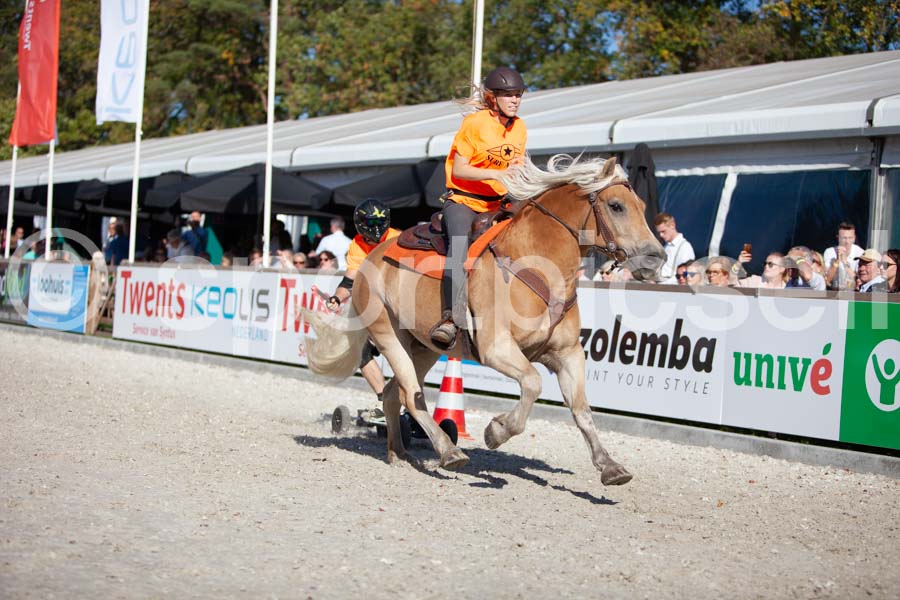 Prüfung show — IMG_3729