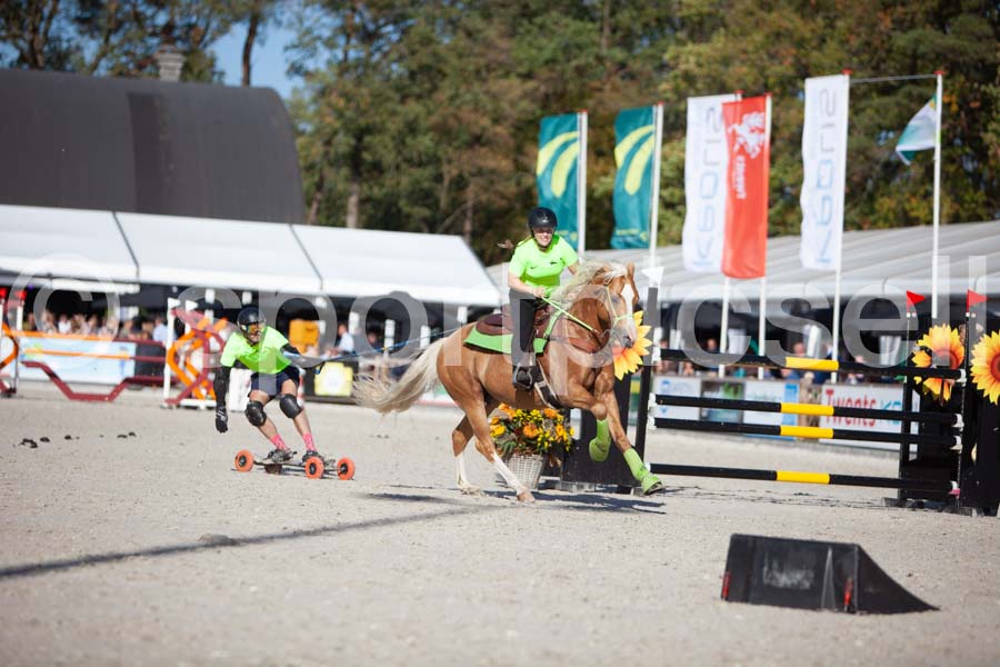 Prüfung show — IMG_3741