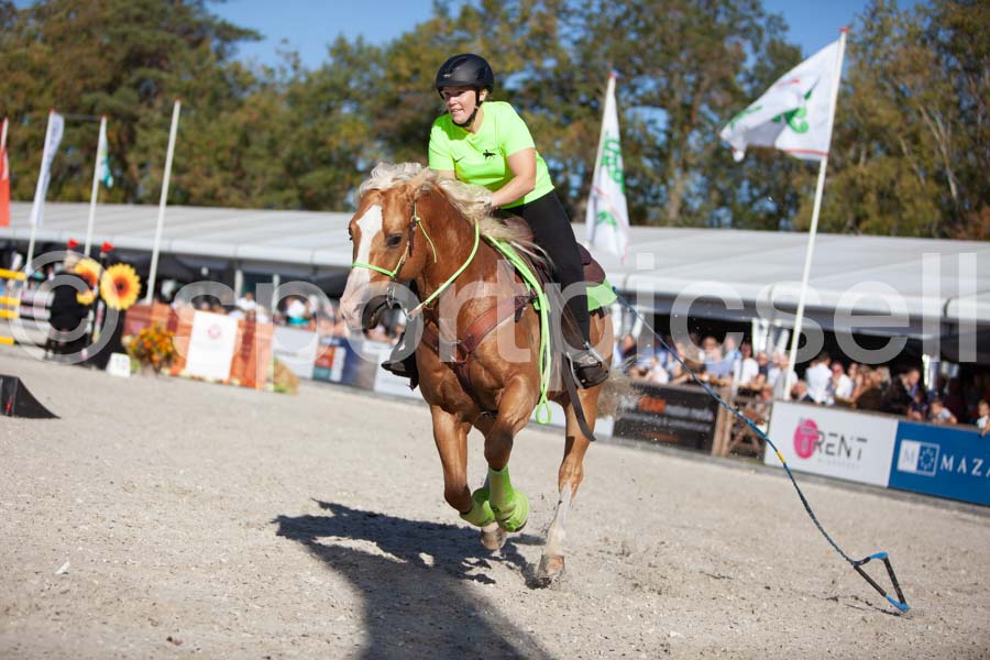 Prüfung show — IMG_3758