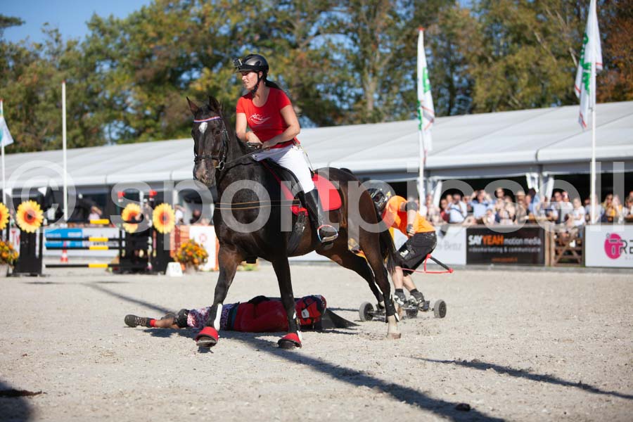 Prüfung show — IMG_3798